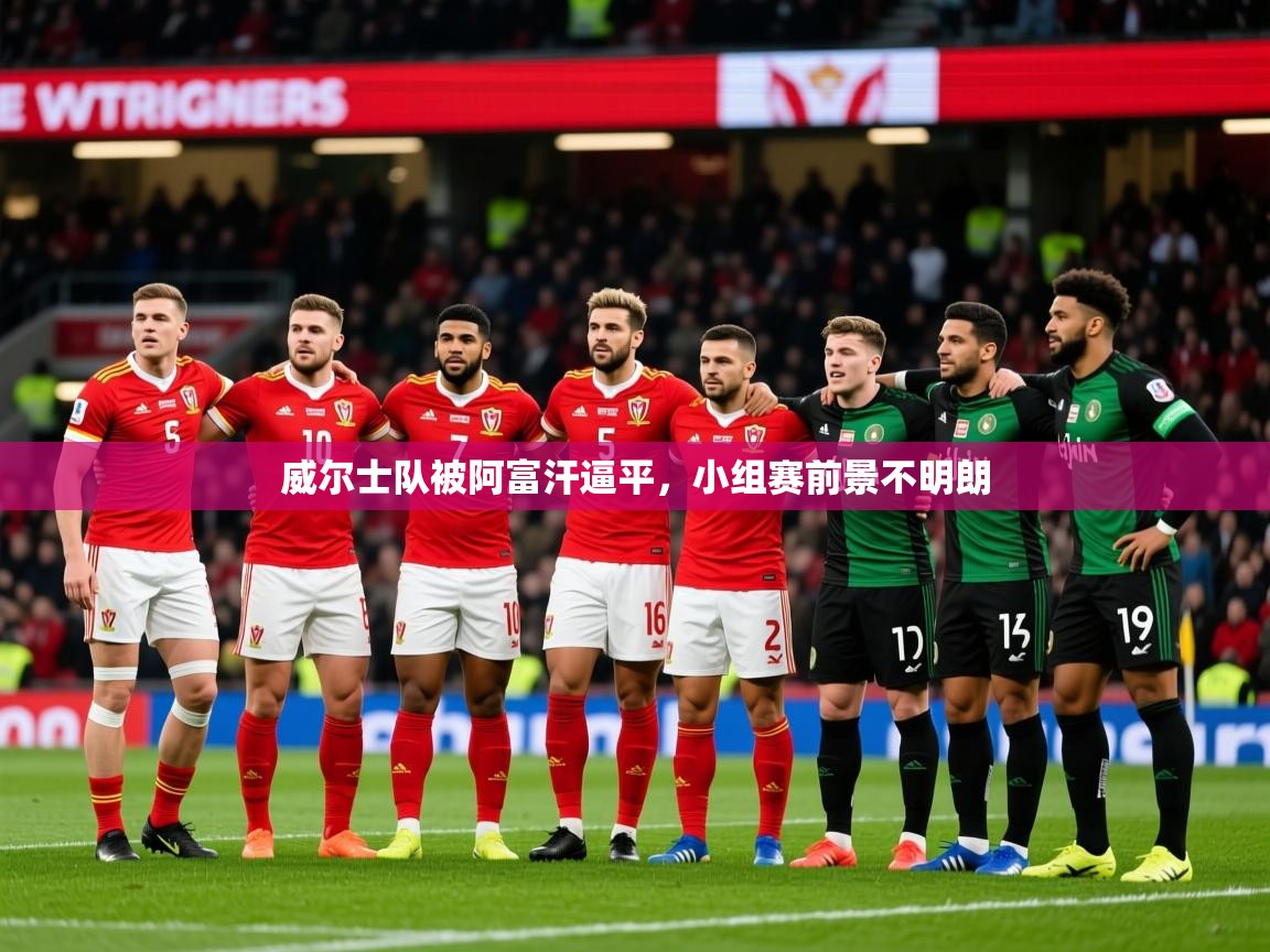 2025米兰体育网址威尔士队被阿富汗逼平，小组赛前景不明朗  第4张